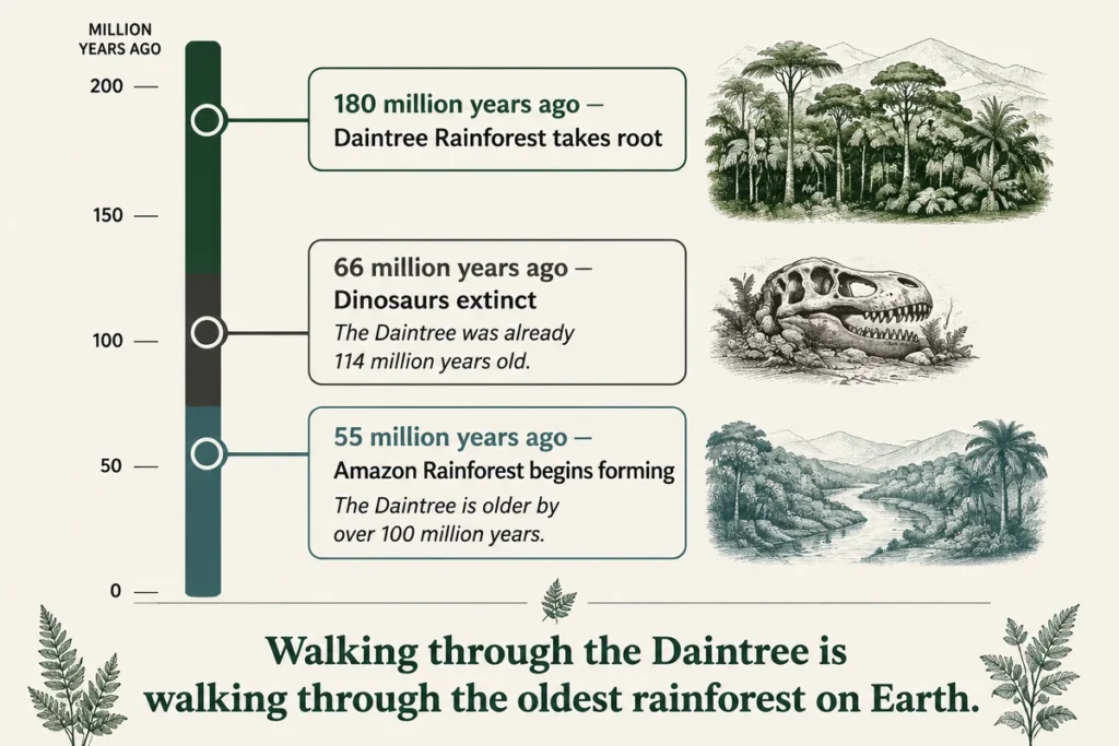 Walk Through a Rainforest Older Than the Amazon